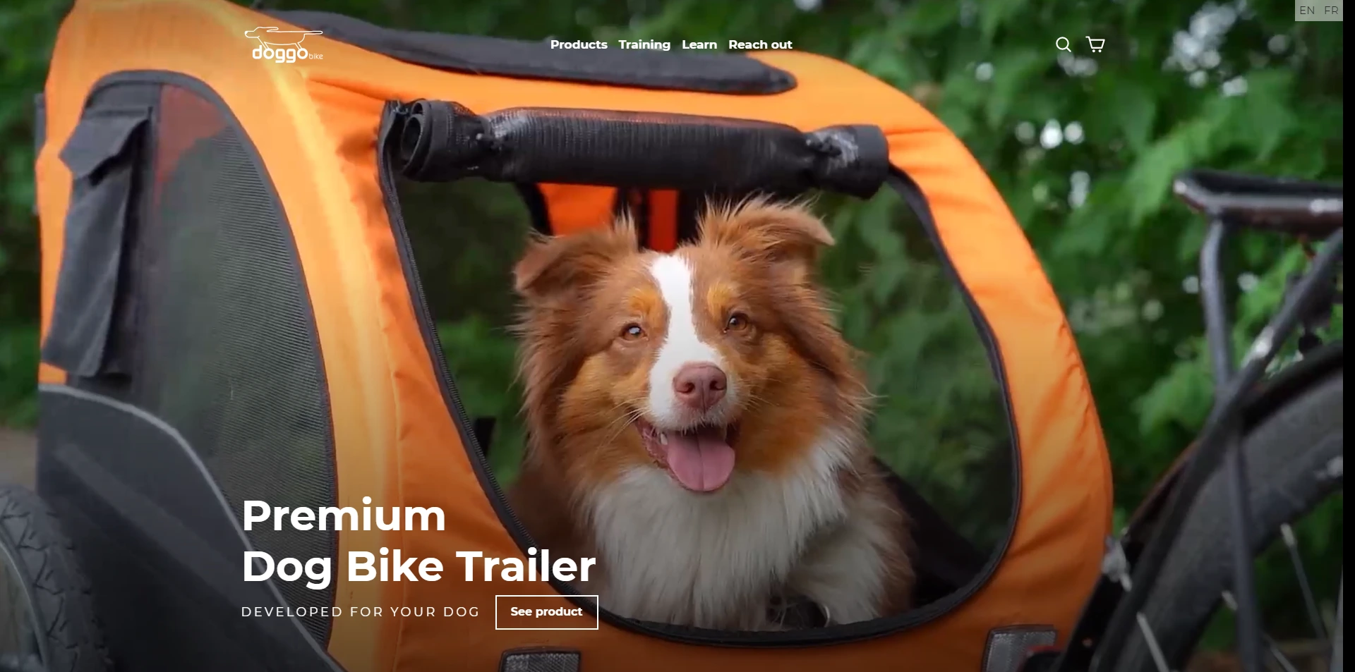 Doggo Bike